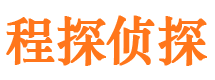 盐源市调查公司